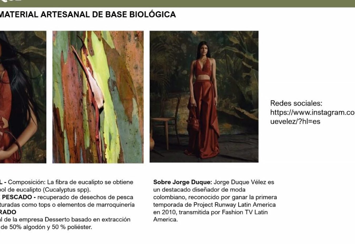 Immagine 2025-07-31 155952